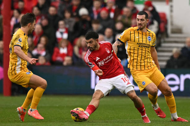 场上视野 场上视野