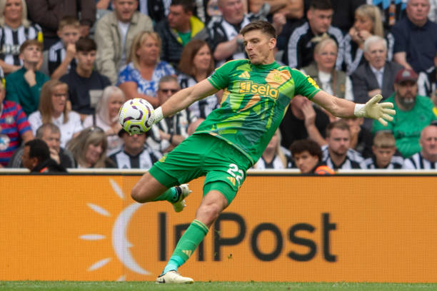 的多样性 的多样性